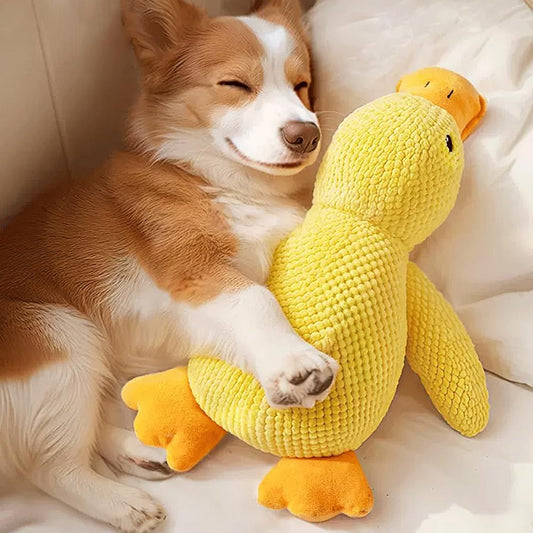 Speedy Panther Plüsch-Hundespielzeug für große Hunde, Quietschende Enten-Hundespielzeug, Weiches Welpenspielzeug für kleine, mittlere und große Hunde - 35 cm