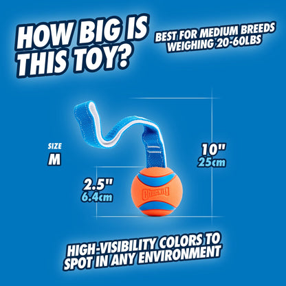 Chuckit! CH231201 Ultra Tug Medium