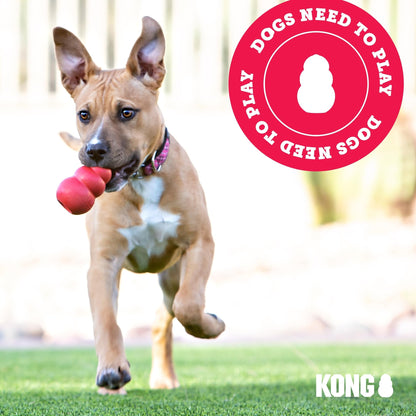 KONG Wild Knots Bear - Hundespielzeug aus Geknotetem Seil - Minimale Füllung - Für Kleine/Mittelgroße Hunde - Bär