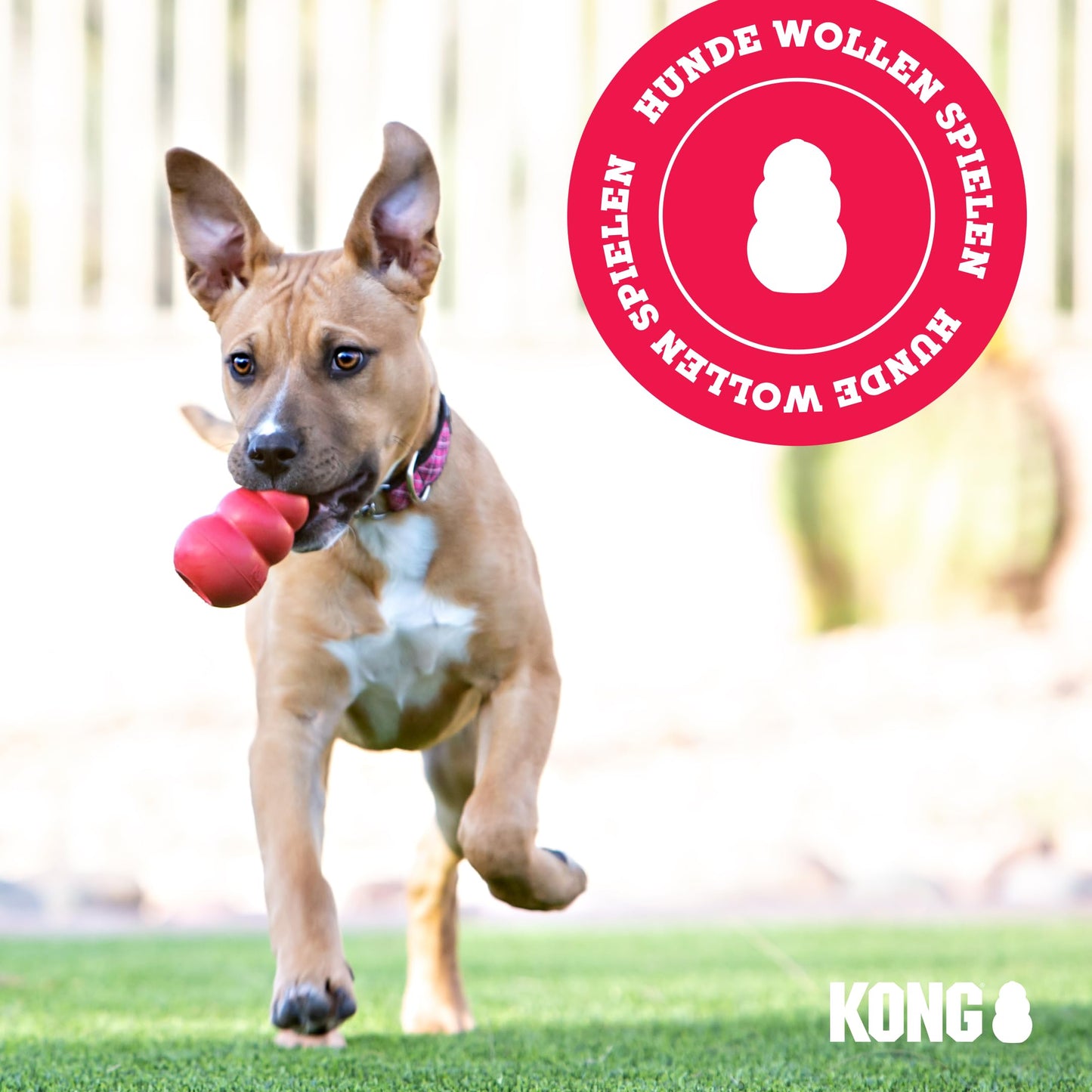 KONG Classic - Füllbares Hundespielzeug - Apportier- und Kauspielzeug für Hunde - Kann Mit Leckerlis Gefüllt Werden - Strapazierfähiges Naturkautschukmaterial - Für Große Hunde