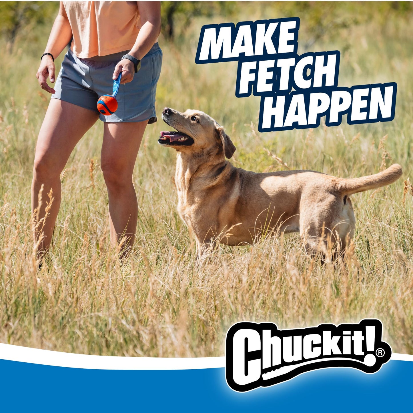 Chuckit! CH231201 Ultra Tug Medium