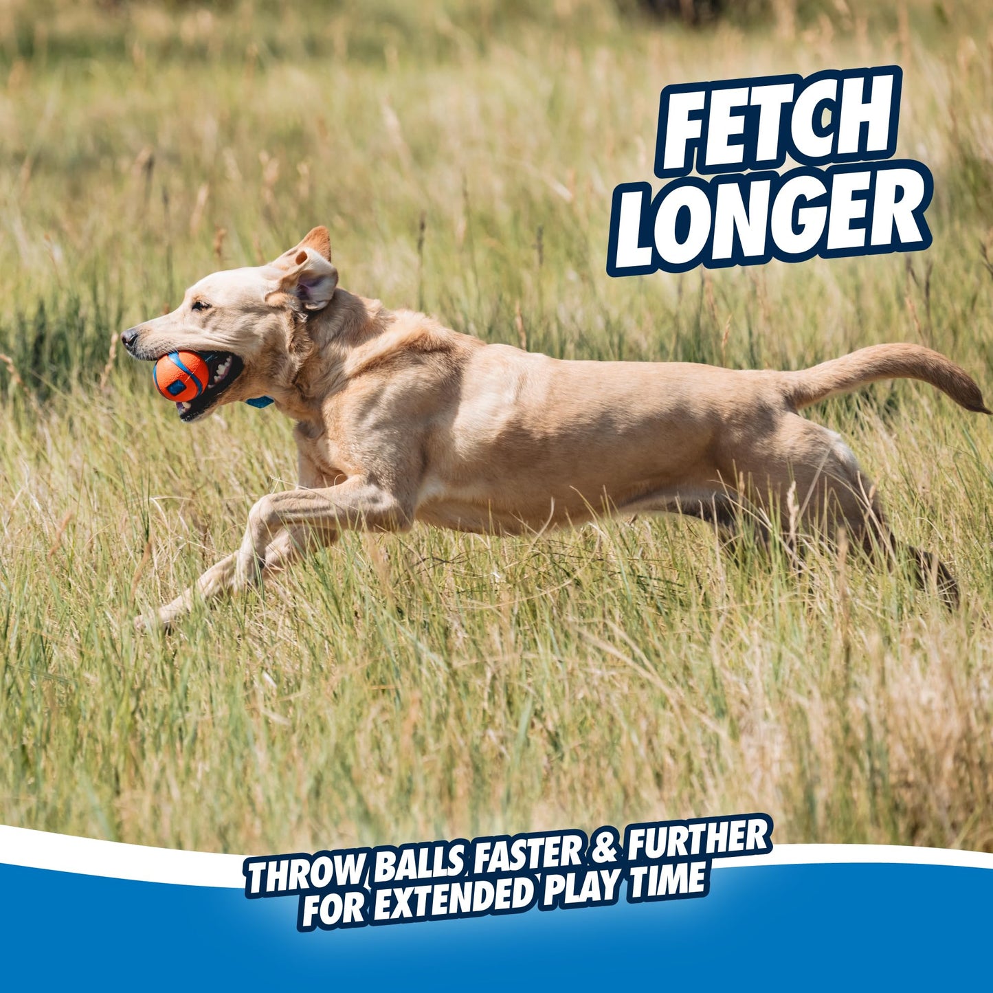 Chuckit! CH231201 Ultra Tug Medium